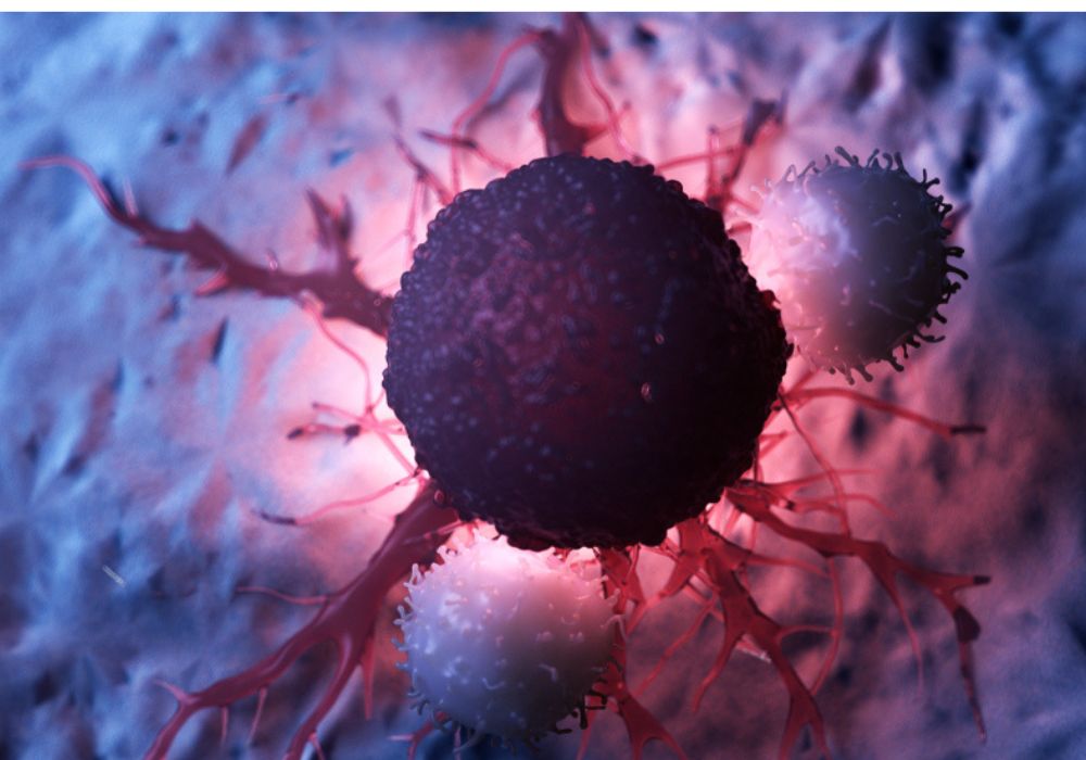 Hematology Oncology